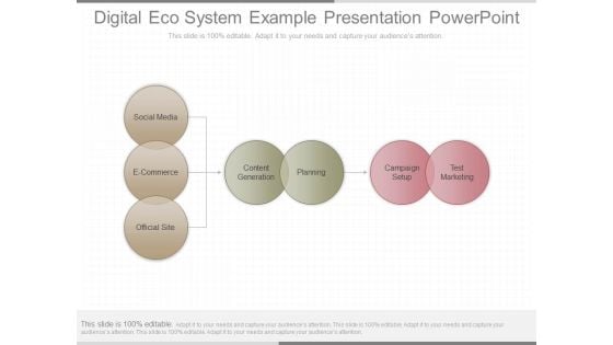 Digital Eco System Example Presentation Powerpoint