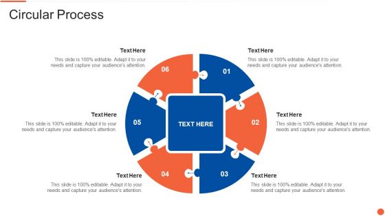 Digital Marketing Business Venture Capitalist Elevator Pitch Deck Circular Process Diagrams PDF