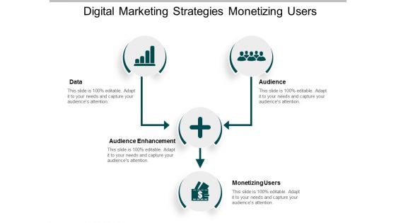 Digital Marketing Strategies Monetizing Users Ppt Powerpoint Presentation Infographics Gridlines