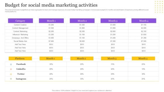 Digital Marketing Strategy Budget For Social Media Marketing Activities Pictures PDF