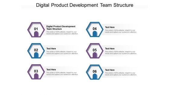 Digital Product Development Team Structure Ppt PowerPoint Presentation Show Example Introduction Cpb Pdf