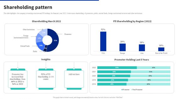 Digital Products Company Outline Shareholding Pattern Graphics PDF