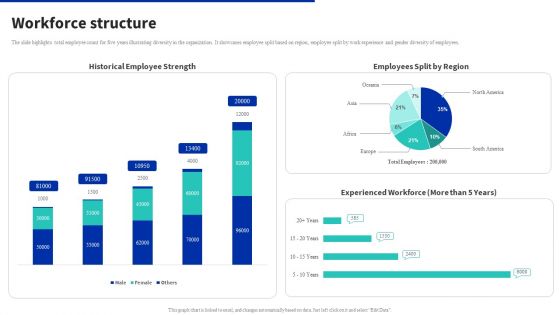 Digital Products Company Outline Workforce Structure Professional PDF