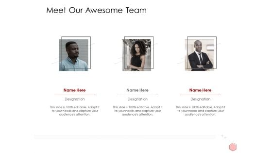 Digitalization Corporate Initiative Meet Our Awesome Team Ppt Ideas Maker Pdf Digitalization Corporate Initiative Meet Our Awesome Team Ppt Ideas Maker Pdf