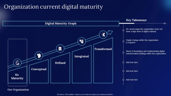 Digitalization Guide For Business Organization Current Digital Maturity Icons PDF