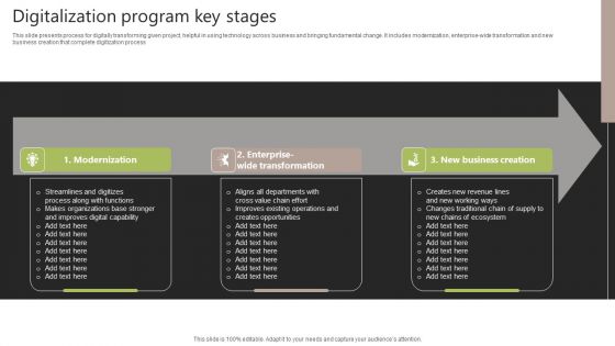 Digitalization Program Key Stages Background PDF