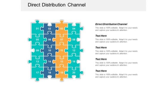 Direct Distribution Channel Ppt PowerPoint Presentation Ideas Display Cpb