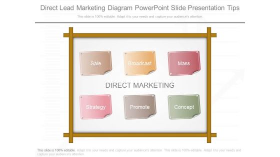 Direct Lead Marketing Diagram Powerpoint Slide Presentation Tips