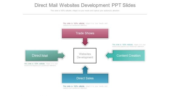 Direct Mail Websites Development Ppt Slides