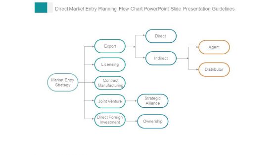 Direct Market Entry Planning Flow Chart Powerpoint Slide Presentation Guidelines