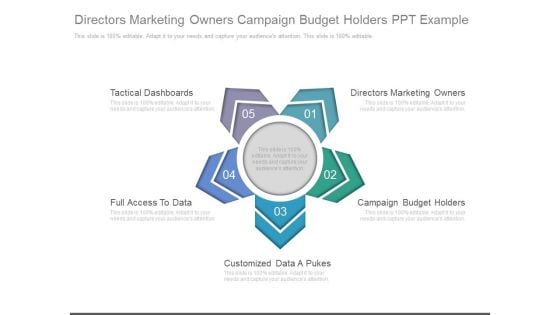 Directors Marketing Owners Campaign Budget Holders Ppt Example