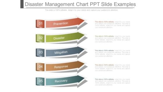 Disaster Management Chart Ppt Slide Examples