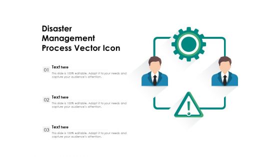 Disaster Management Process Vector Icon Ppt PowerPoint Presentation Gallery Ideas PDF