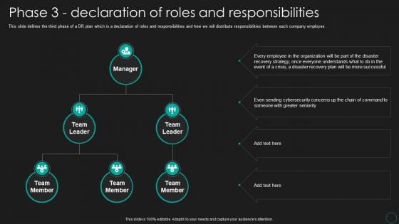 Disaster Recovery Strategic Plan Phase 3 Declaration Of Roles And Responsibilities Guidelines PDF