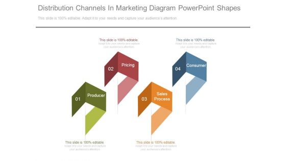 Distribution Channels In Marketing Diagram Powerpoint Shapes