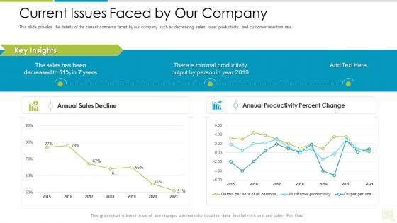 Distributor Entitlement Initiatives Current Issues Faced By Our Company Infographics PDF