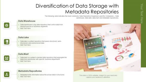 Diversification Of Data Storage With Metadata Repositories Ppt Professional Samples PDF