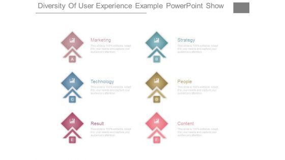 Diversity Of User Experience Example Powerpoint Show