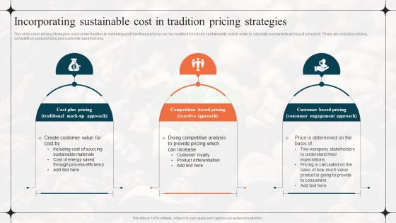 Diverting Attention From Conventional Incorporating Sustainable Cost In Tradition Pricing Strategies Designs PDF