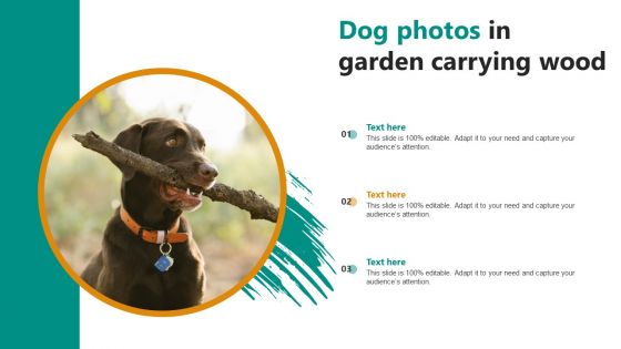 Dog Photos In Garden Carrying Wood Ppt PowerPoint Presentation Gallery Graphics Pictures PDF