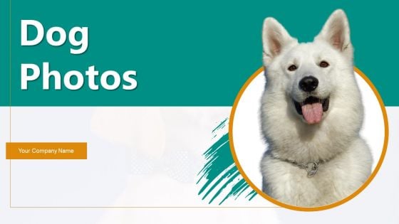 Dog Photos Ppt PowerPoint Presentation Complete Deck With Slides