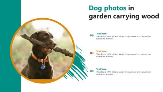 Dog Photos Ppt PowerPoint Presentation Complete Deck With Slides