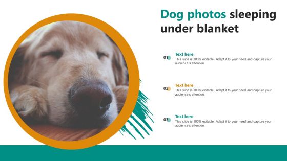 Dog Photos Sleeping Under Blanket Ppt PowerPoint Presentation Gallery Pictures PDF
