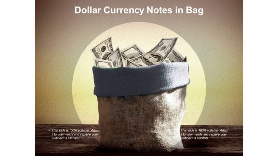 Dollar Currency Notes In Bag Ppt PowerPoint Presentation Model Format