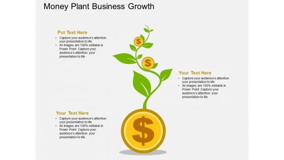 Dollar Growth Money Plant Powerpoint Template