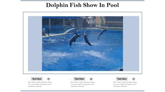 Dolphin Fish Show In Pool Ppt PowerPoint Presentation Gallery Clipart Images PDF