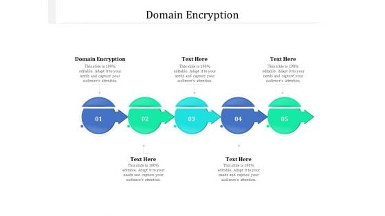 Domain Encryption Ppt PowerPoint Presentation Styles Outline Cpb Pdf