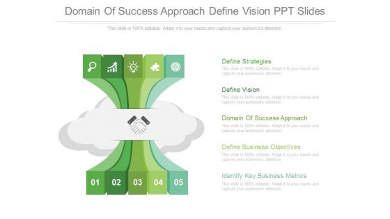 Domain Of Success Approach Define Vision Ppt Slides