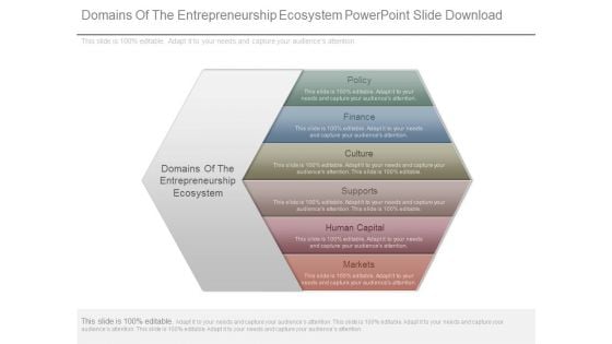 Domains Of The Entrepreneurship Ecosystem Powerpoint Slide Download