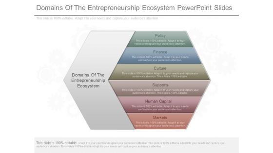 Domains Of The Entrepreneurship Ecosystem Powerpoint Slides