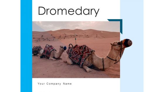 Dromedary Captivity Gear Ppt PowerPoint Presentation Complete Deck