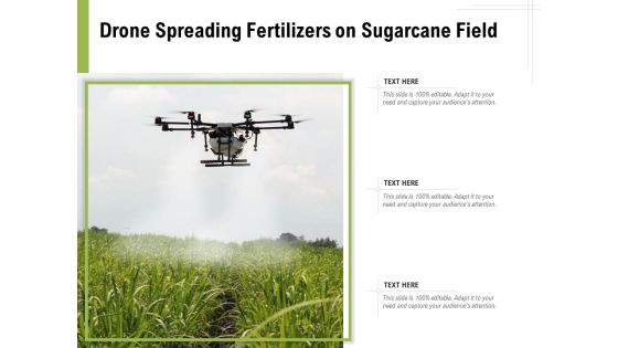 Drone Spreading Fertilizers On Sugarcane Field Ppt PowerPoint Presentation Gallery Show PDF