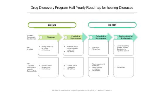 Drug Discovery Program Half Yearly Roadmap For Healing Diseases Sample