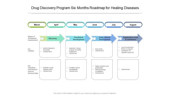 Drug Discovery Program Six Months Roadmap For Healing Diseases Mockup