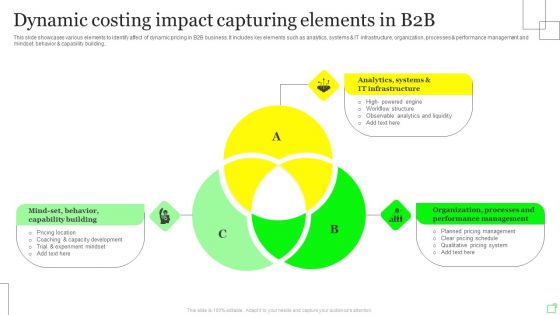 Dynamic Costing Impact Capturing Elements In B2B Introduction PDF