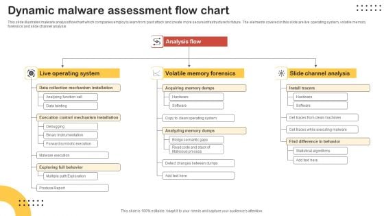 Dynamic Malware Assessment Flow Chart Infographics PDF