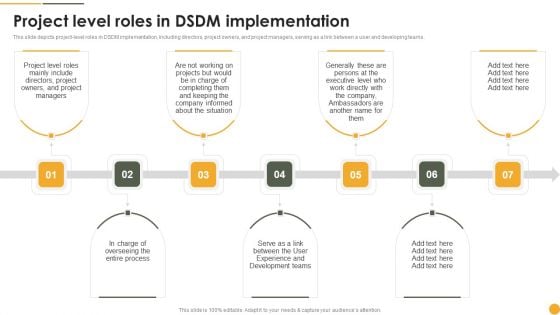 Dynamic Systems Development Approach Project Level Roles In DSDM Implementation Professional PDF