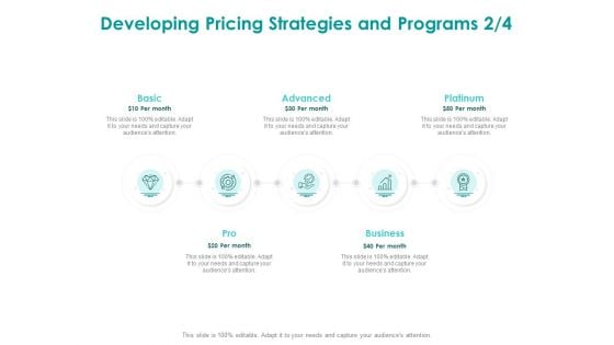 EMM Solution Developing Pricing Strategies And Programs Basic Diagrams PDF