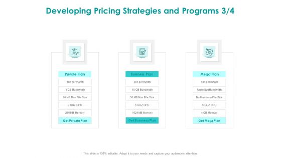 EMM Solution Developing Pricing Strategies And Programs Private Ppt Infographics Example PDF EMM Solution Developing Pricing Strategies And Programs Private Ppt Infographics Example PDF