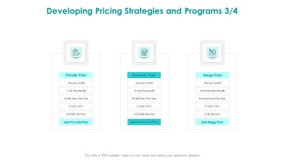 EMM Solution Developing Pricing Strategies And Programs Private Ppt Infographics Example PDF