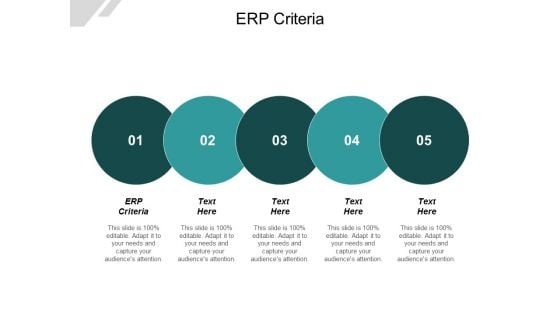 ERP Criteria Ppt PowerPoint Presentation Summary Tips Cpb