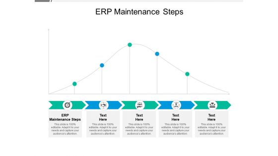 ERP Maintenance Steps Ppt PowerPoint Presentation Pictures Example Cpb