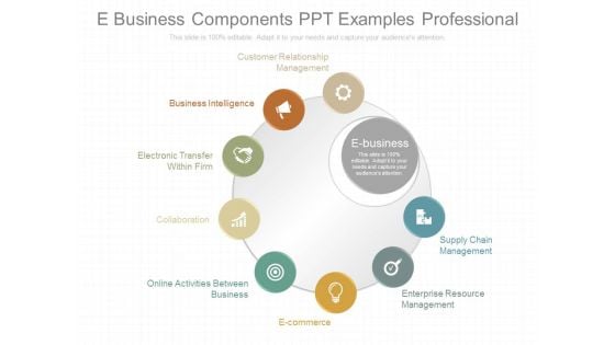 E Business Components Ppt Examples Professional E Business Components Ppt Examples Professional