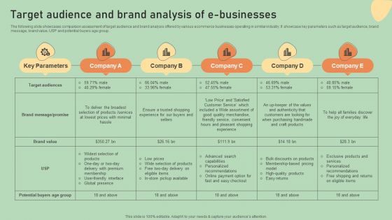E Commerce Business Development Plan Target Audience And Brand Analysis Of E Businesses Template PDF