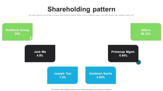 E Commerce Company Investor Funding Elevator Pitch Deck Shareholding Pattern Slides PDF