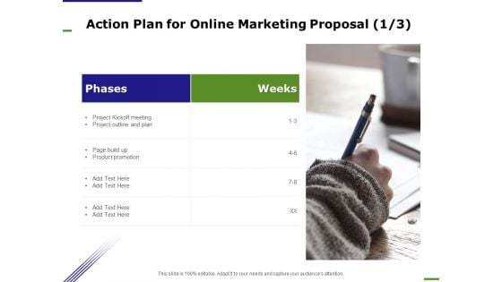 E Marketing Action Plan For Online Marketing Proposal Product Ppt Outline Gridlines PDF